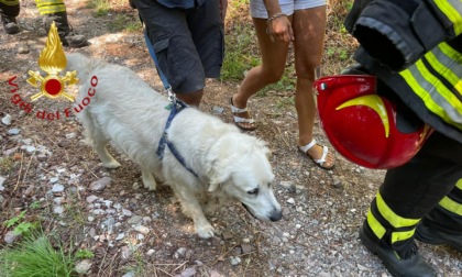 Cane e padrone scivolano in un dirupo: salvati dai soccorritori