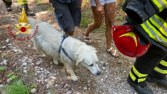 Cane e padrone scivolano in un dirupo: salvati dai soccorritori