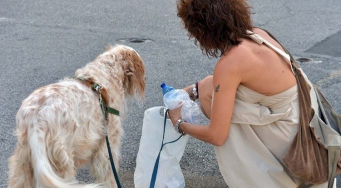 Mariano, niente più pipì dei cani sui marciapiedi: i padroni