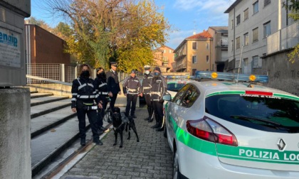 Blitz antidroga all'Enaip di Cantù: nessuno studente in possesso di stupefacenti