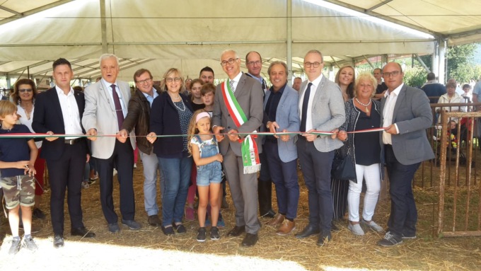 Fiera secolare di Alzate