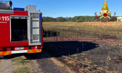 Lomazzo in fiamme un campo di grano: il fumo causa rallentamenti in autostrada