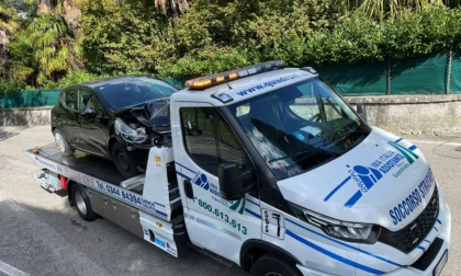 Ennesimo cervo investito sulle strade del Lago: l'ultimo episodio questa mattina a Grandola
