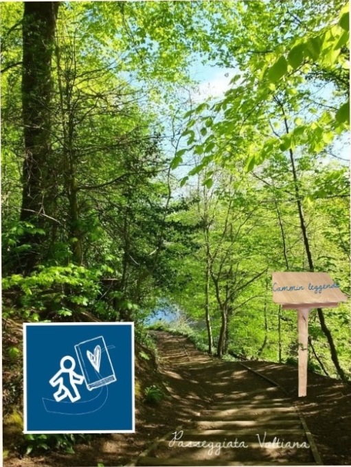 A Tavernerio si inaugura il nuovo leggio nel bosco con “Camminleggendo”