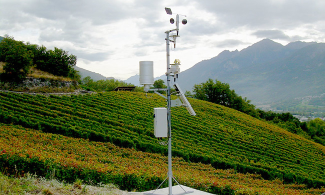 Novità nelle consulenze svolte da CSC Compagnia Svizzera Cauzioni