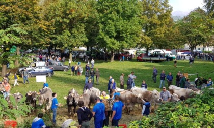 Torna a Porlezza la Fiera zootecnica e il BIM Festeggia i suoi 65 anni