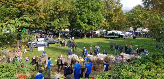 Torna a Porlezza la Fiera zootecnica e il BIM Festeggia i suoi 65 anni