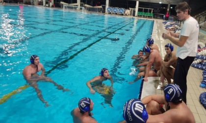 Como Nuoto: la Recoaro debutta sabato 5 novembre in casa contro Milano Metanopoli