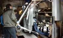 Un impianto self service per le mucche da latte a Bregnano