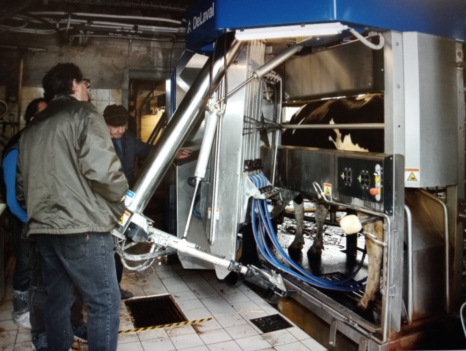Un impianto self service per le mucche da latte a Bregnano