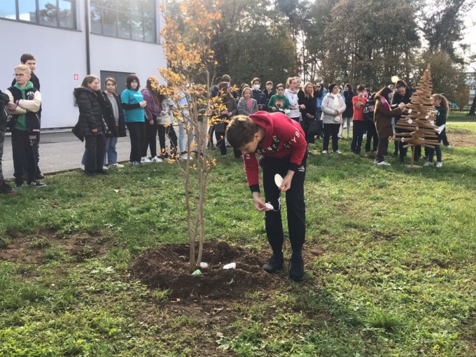 Giornata dell'Albero