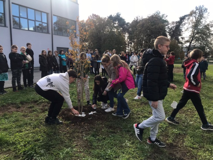 Giornata dell'Albero
