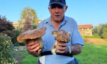 Porcini giganti, che sorpresa a Olgiate Comasco