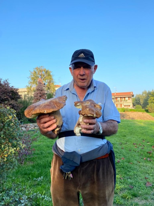 Porcini giganti, che sorpresa a Olgiate Comasco