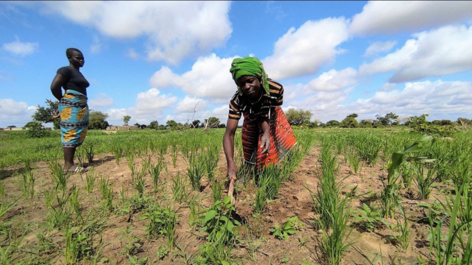 Mani Tese cerca 100 volontari/2 a Como per sostenere l’emancipazione delle donne africane