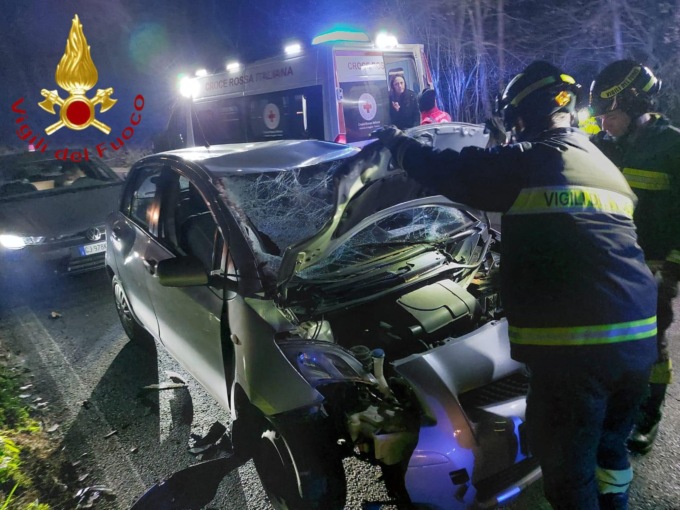 Incidente a Colverde: auto investe un cavallo, ci sono feriti