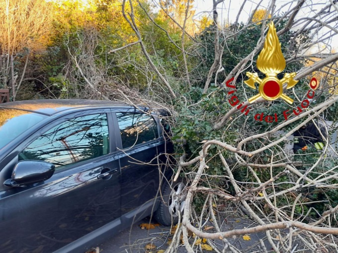 Raffiche di vento: cade l’albero, centrata un’auto parcheggiata a Como
