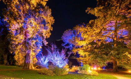 "Living Trees, Frames of Nature" la nuova attrazione di Bellagio
