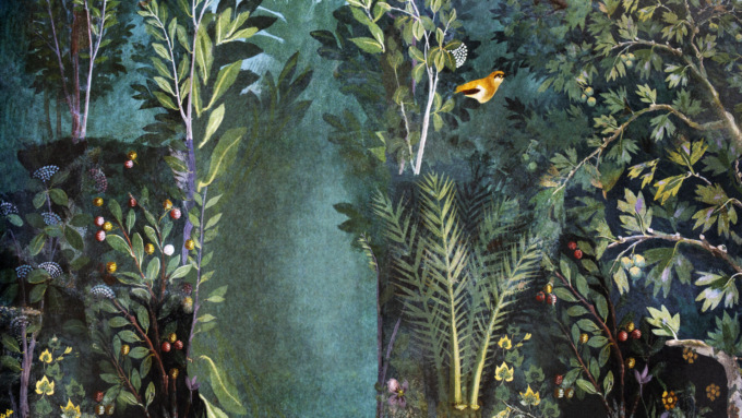 Il Lake Como Design Festival si prepara alla quinta edizione, la “Naturalis Historia”