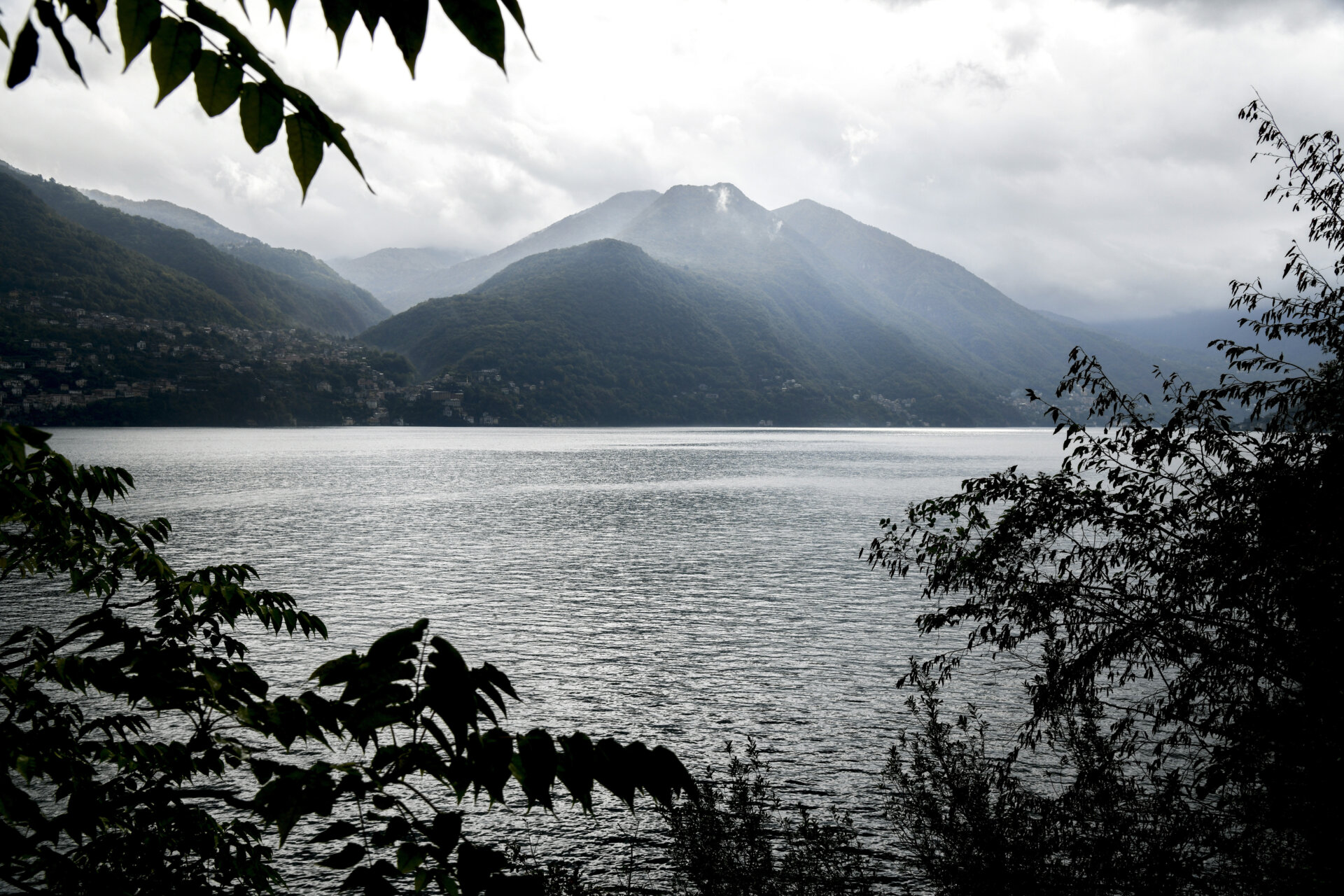 Lake Como Design Festival_2023_Naturalis historia_3
