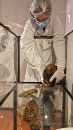 Mummie Museo civico erbese