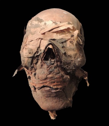 Mummie Museo civico erbese