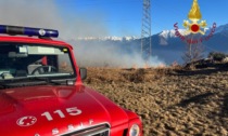 Vegetazione in fiamme: Vigili del fuoco al lavoro con tre squadre
