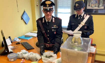 Aveva una serra di marijuana in casa: arrestato pregiudicato 47enne