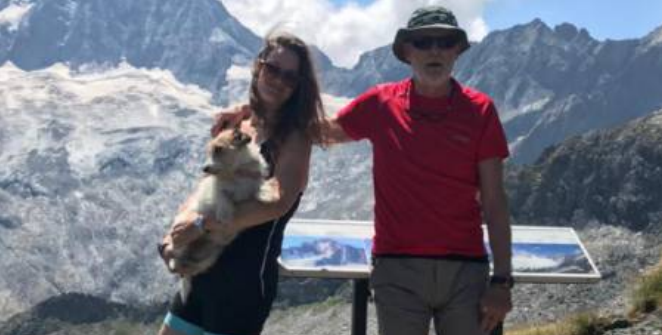 Cane e padrone aggrediti da un Amstaff senza guinzaglio: ben 37 punti di sutura