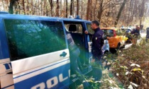 Controlli antidroga nei boschi del Comasco: arrestato spacciatore di 19 anni