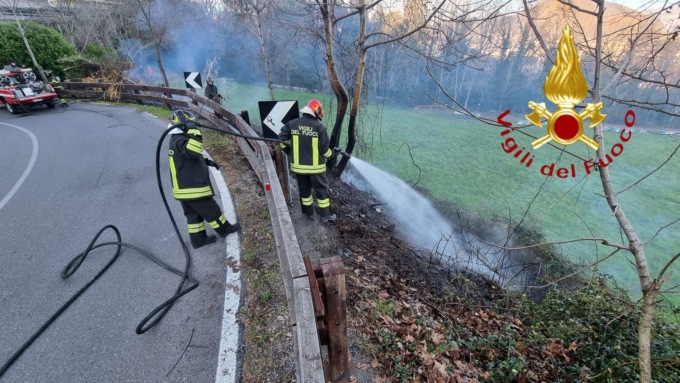 Erba, pompieri domano le fiamme e salvano 50 arnie