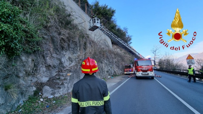 Albero pericolante a 15 metri d’altezza: i Vigili del fuoco chiudono la Regina