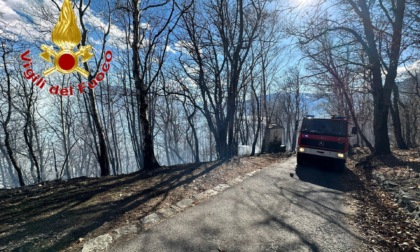 Incendio boschivo a Montemezzo: sei squadre di Vigili del fuoco in azione
