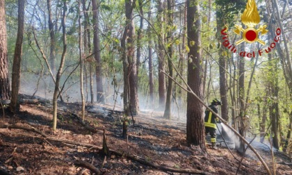 Incendio boschivo a Cantù: 100 metri quadrati di verde in fumo