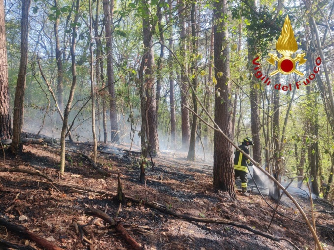 Incendio boschivo a Cantù: 100 metri quadrati di verde in fumo