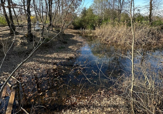 Mariano, laghetto della Mordina in secca: “A rischio flora e fauna”