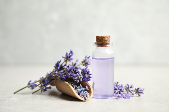 Con il Giornale di Cantù, Erba e Olgiate la profumatissima lavanda