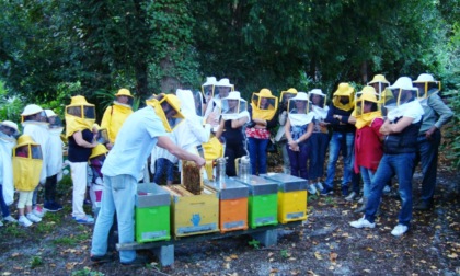 Festa delle api a Ponte Lambro: grande ritorno a settembre