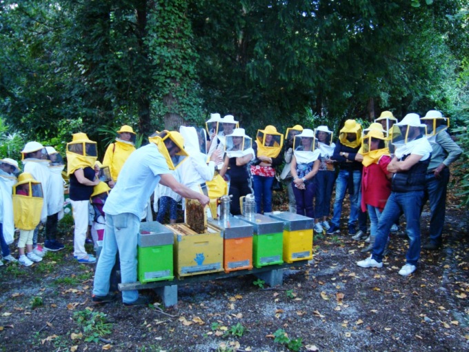 Festa delle api a Ponte Lambro: grande ritorno a settembre