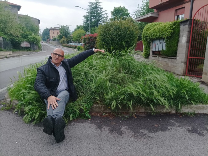Erba troppo alta in viale Ortelli, la provocazione della minoranza: “Sembra il set de Il Gladiatore”