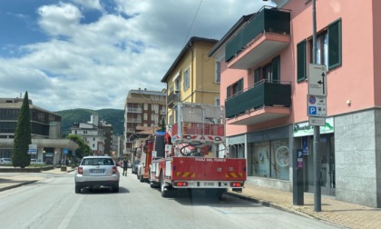 Piccione fa il nido sul davanzale di una finestra: intervengono i Vigili del fuoco