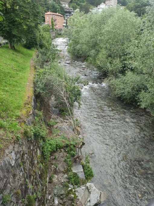 Lambro invaso da boscaglia e arbusti