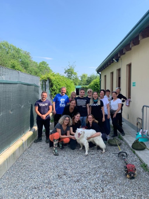 Dalla gabbia all’amore dei proprietari: cani adottati nonostante difetti e pregiudizi