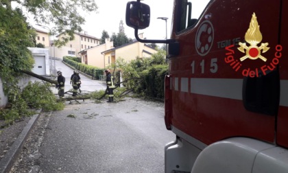 Mattinata intensa per i Vigili del fuoco comaschi