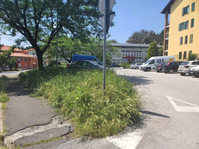 Incuria in via Alciato: sporcizia e vegetazione straripante