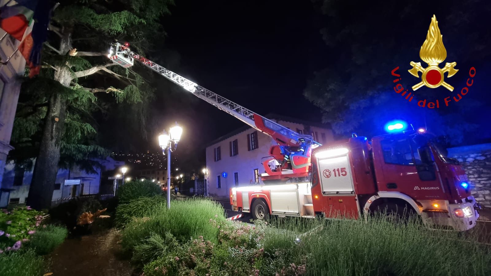 Rami pericolanti a Cernobbio