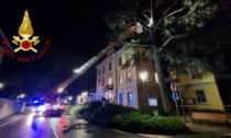 Rami pericolanti a Cernobbio: intervengono i Vigili del fuoco