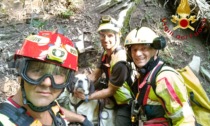 Cane cade dal dirupo: lo salvano i Vigili del fuoco