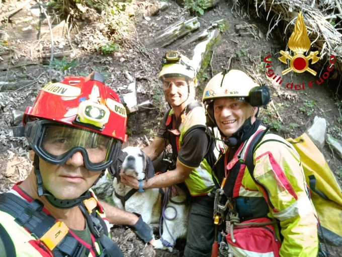 Cane cade dal dirupo: lo salvano i Vigili del fuoco