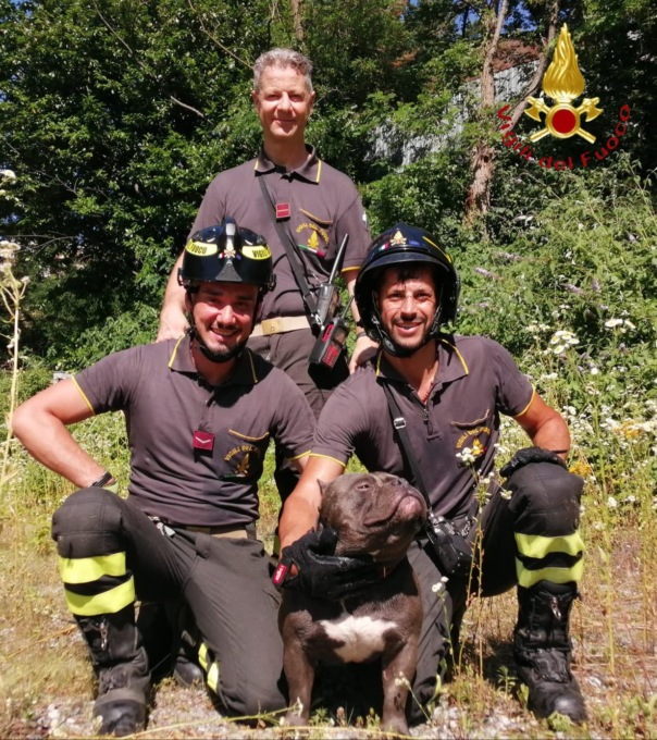 Cane cade in un pozzo di tre metri: lo salvano i Vigili del fuoco